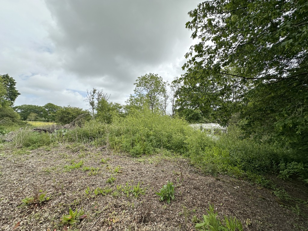 Lot: 60 - TIN BARN WITH POND SET IN APPROXIMATELY ONE ACRE - End of land with sight of caravan